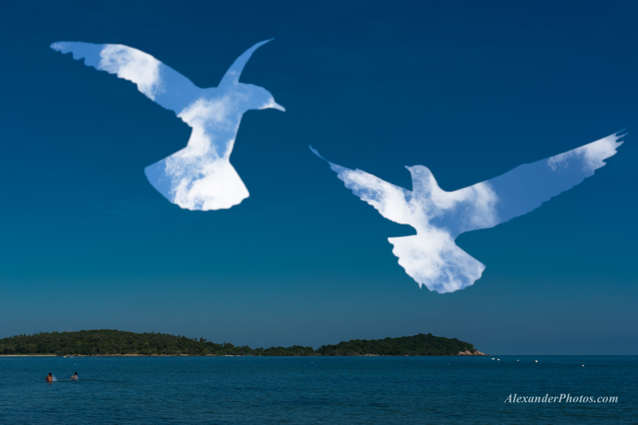 clouds-koh-Samui-Magritte-bird-seagull